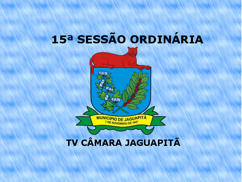 15ª Sessão Ordinária 15/05/2017 - 20:00hs